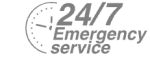 24/7 Emergency Service Pest Control in Goffs Oak, Cheshunt, EN7. Call Now! 020 8166 9746